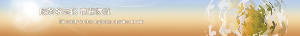 服务多元化 赢在物流